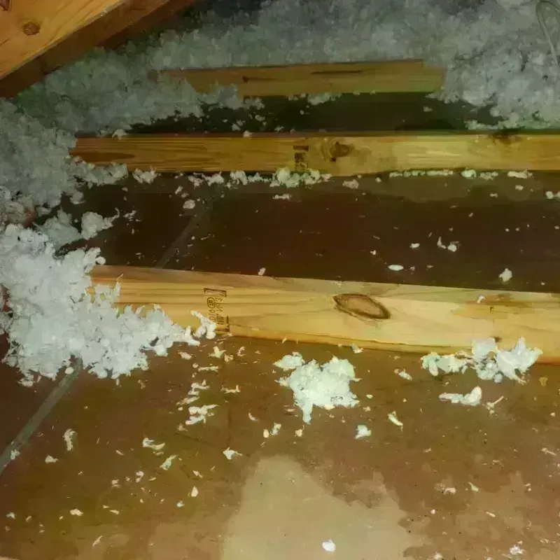 Attic Water Damage in Dowagiac, MI