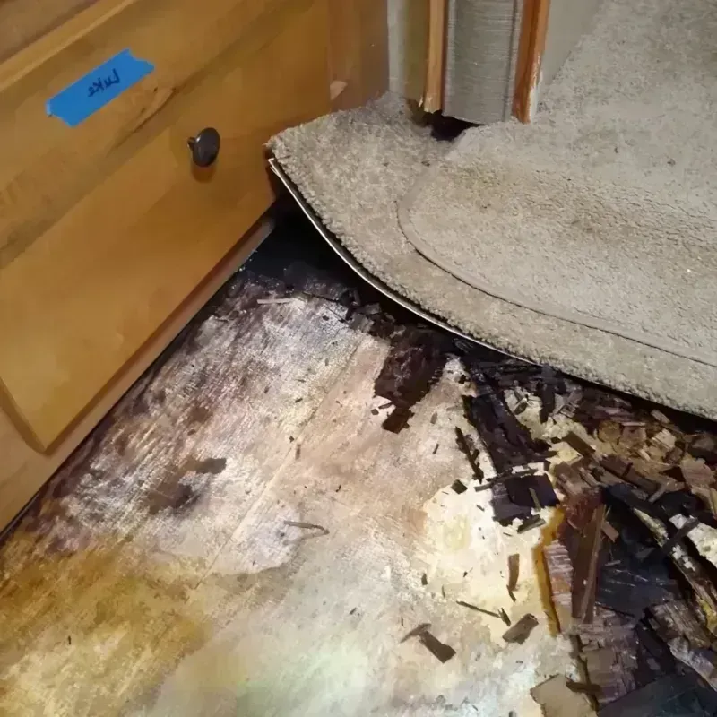 Wood Floor Water Damage in Dowagiac, MI